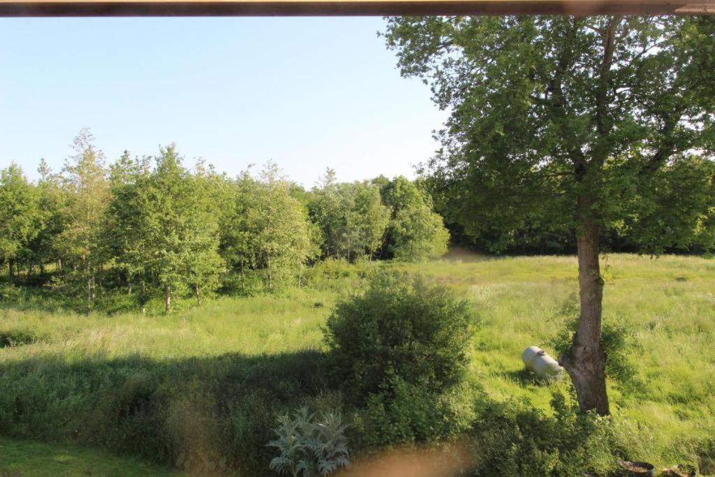 Est Proche Centre Apartment *